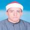 فتحي المليجي