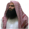 مجدي سالم