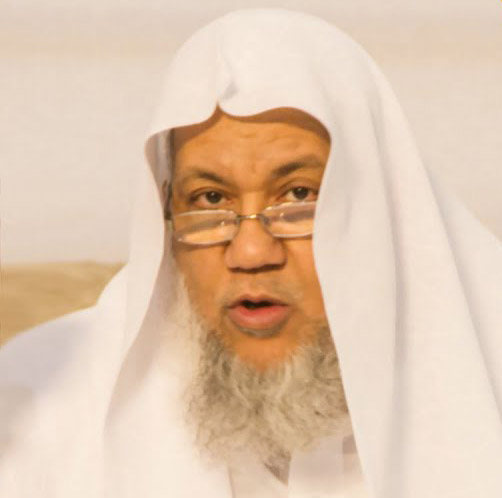 عدنان بن عبد الرحمن العرضي