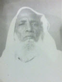 محمد الأمين الشنقيطي